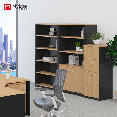 Double Door with Key Lock, Large Capacity Filing Cabinet, Wall Mounted Low Cabinet, Customizable Classified FilingCabinet