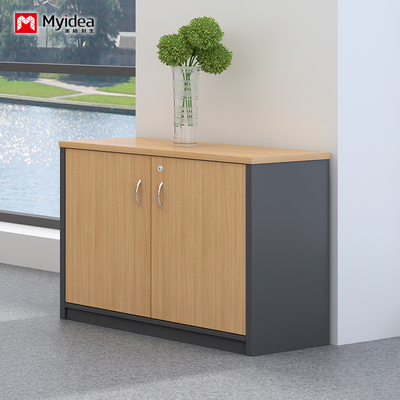Double Door with Key Lock, Large Capacity Filing Cabinet, Wall Mounted Low Cabinet, Customizable Classified FilingCabinet
